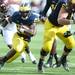 Michigan running back Fitzgerald Toussaint runs the ball for yards against Central Michigan during the first half at Michigan Stadium on Saturday, August 31, 2013. Melanie Maxwell | AnnArbor.com